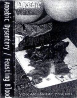 Amoebic Dysentery : You Are What You Eat - ...Of the Stench After Life